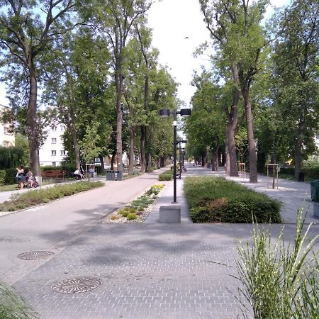 Apartament ZDRÓJ Busko-Zdrój Zewnętrze zdjęcie